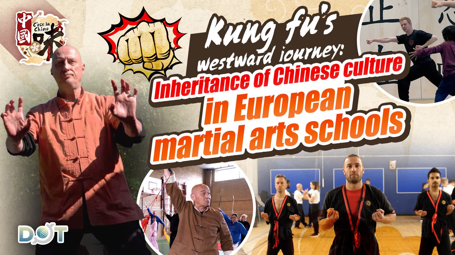 C'est la Chine | Kung fu's westward journey: Inheritance of Chinese culture in European martial arts schools