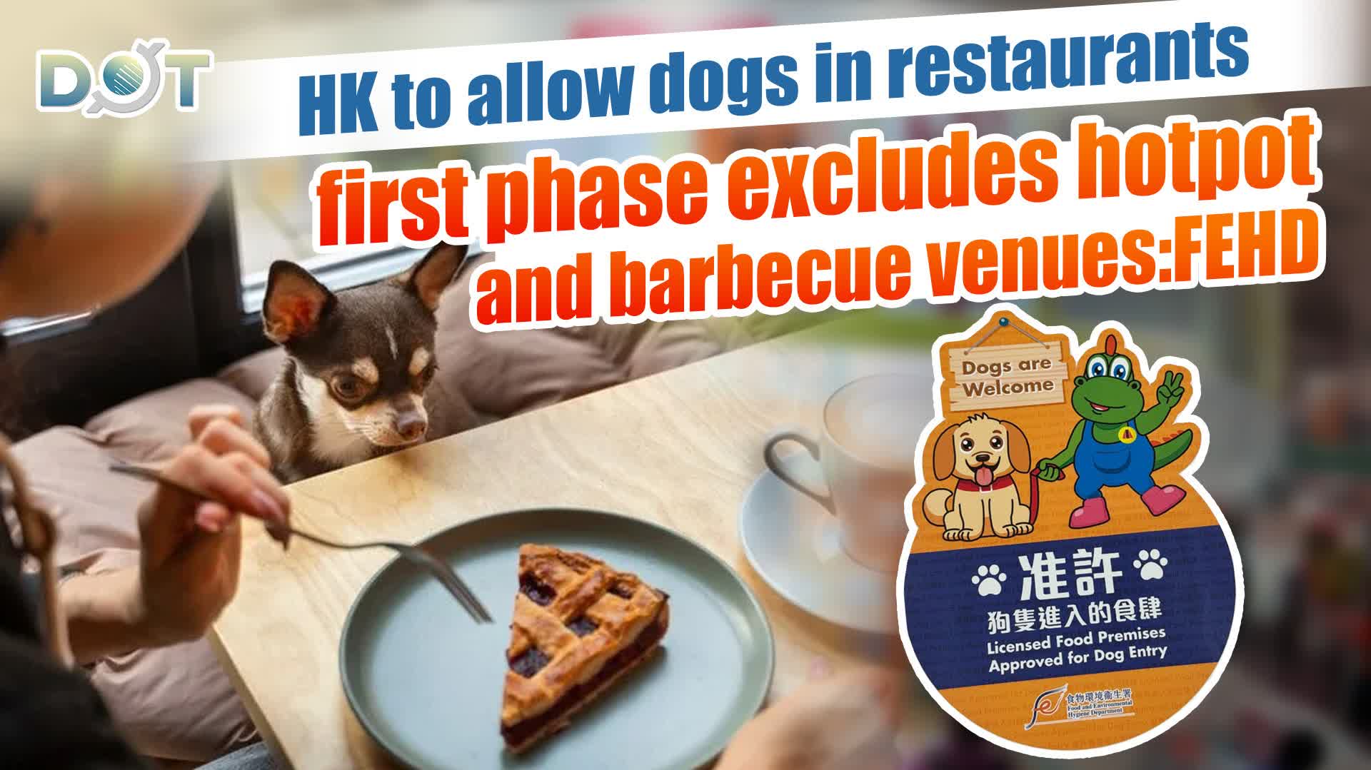 HK to welcome dogs in restaurants, first phase excludes hotpot and barbecue venues: FEHD