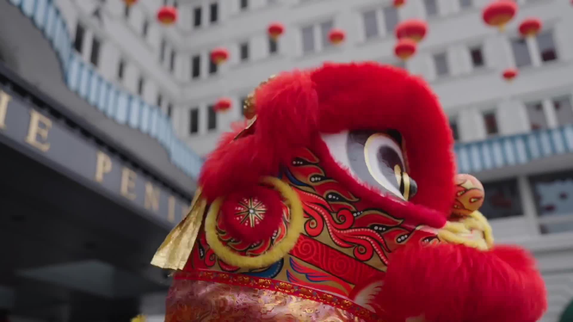 Watch This | Celebrating Year of Horse: Lion dance performances across HK