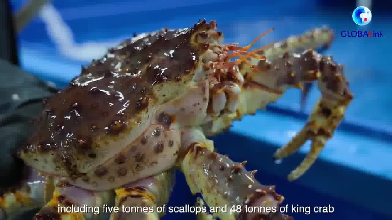 Watch This | China-Russia border hub boosts seafood imports ahead of Spring Festival