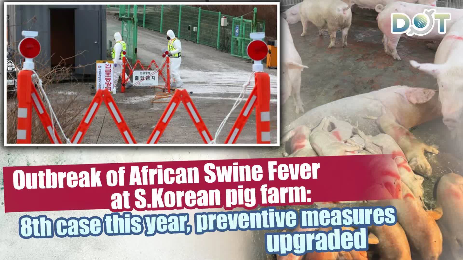 Outbreak of African Swine Fever at S.Korean pig farm: 8th case this year, preventive measures upgraded