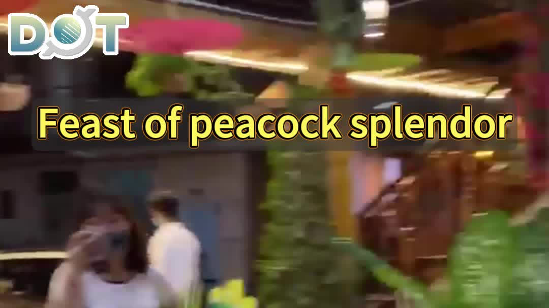OMG | Feast of peacock splendor