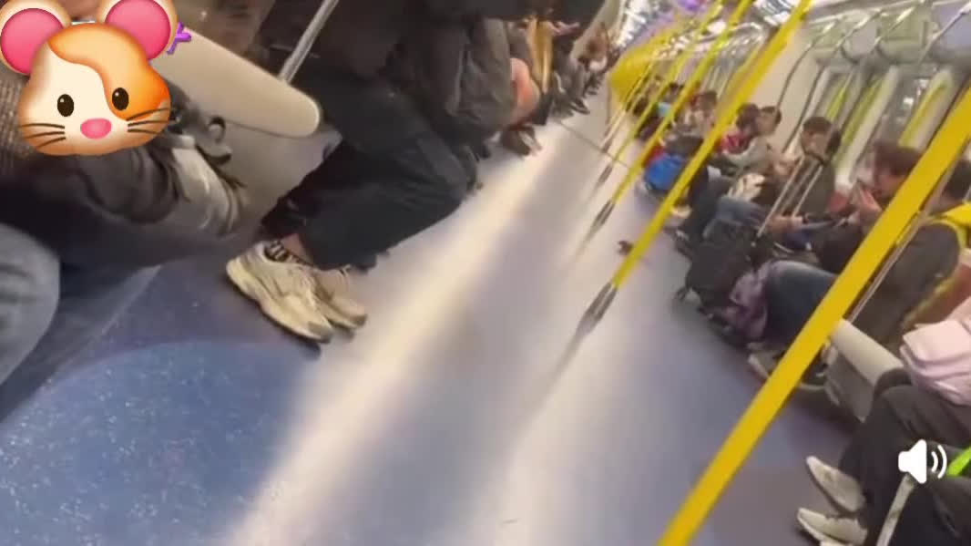 （有片）港鐵車廂內老鼠四處逃竄　網友：唔知以為搭緊迪士尼綫