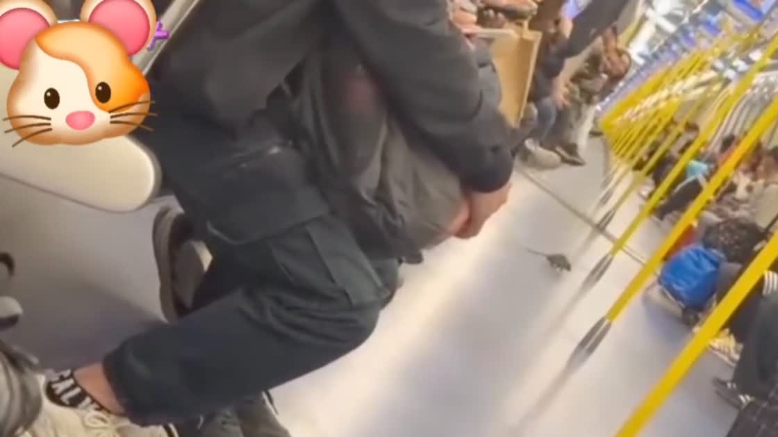 Mouse spotted scurrying through MTR train, netizens: 'Are you on Disneyland Resort Line?'