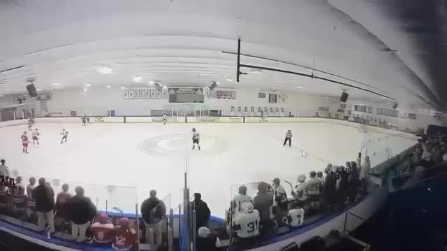 OMG | Three dead, including gunman, after shooting breaks out at US ice hockey game