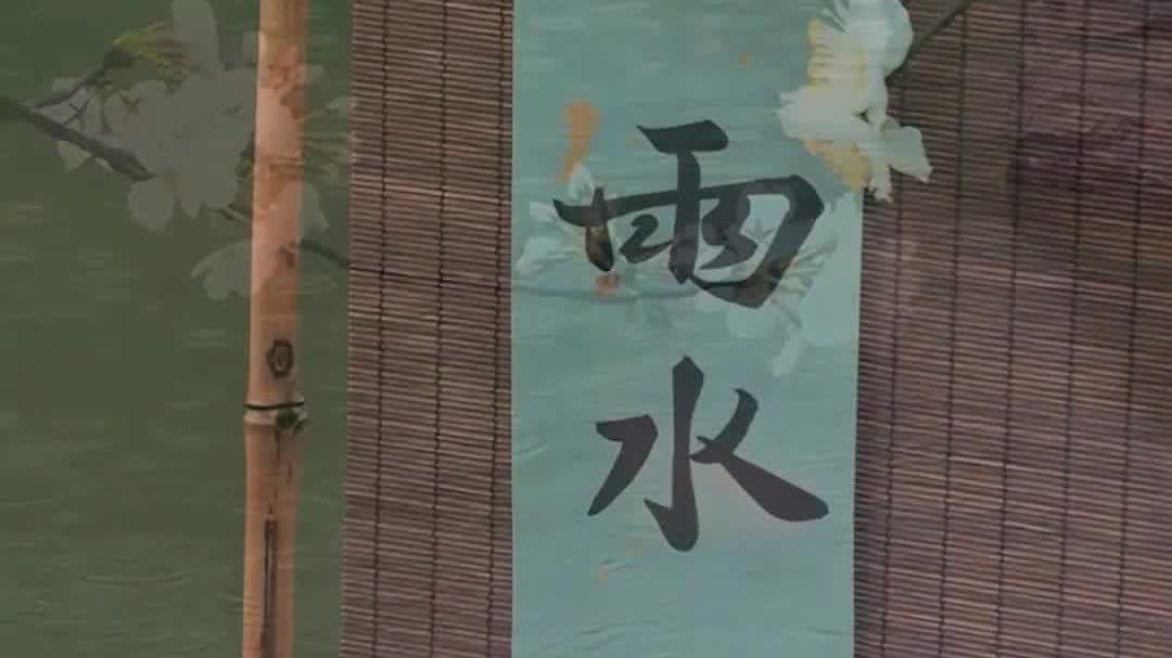 OMG | Timely rain arrives: Life begins to sprout