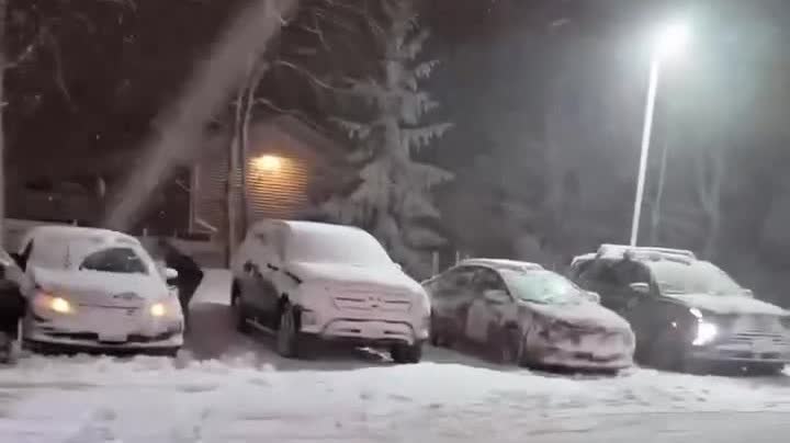 Watch This | Blizzard chaos across multiple US states leads to emergency declarations: More than 8,000 flights canceled in 48 hours