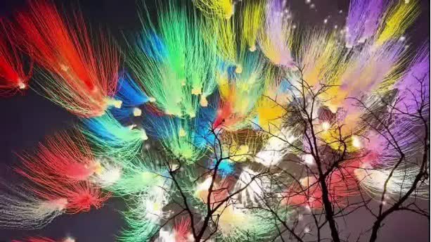 OMG | Withered tree that blooms: Springtime symbol of good fortune