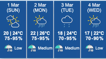 Rainfall in multiple districts exceed 20 mm in the morning: HKO