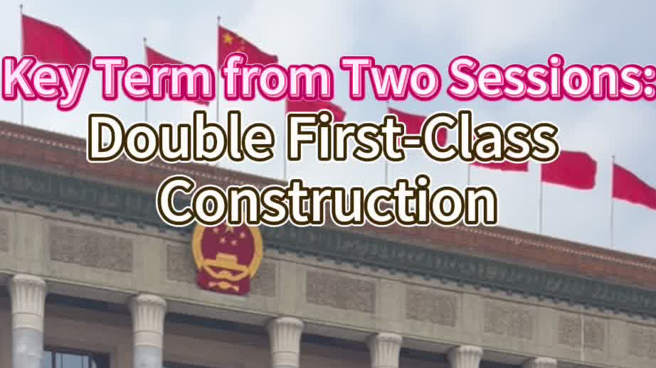 Key term from two sessions | Priscilla Leung unpacks 'Double First-Class Construction'