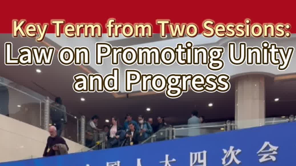 Key term from two sessions | Ginny Man unpacks 'the Law on Promoting Ethnic Unity and Progress'