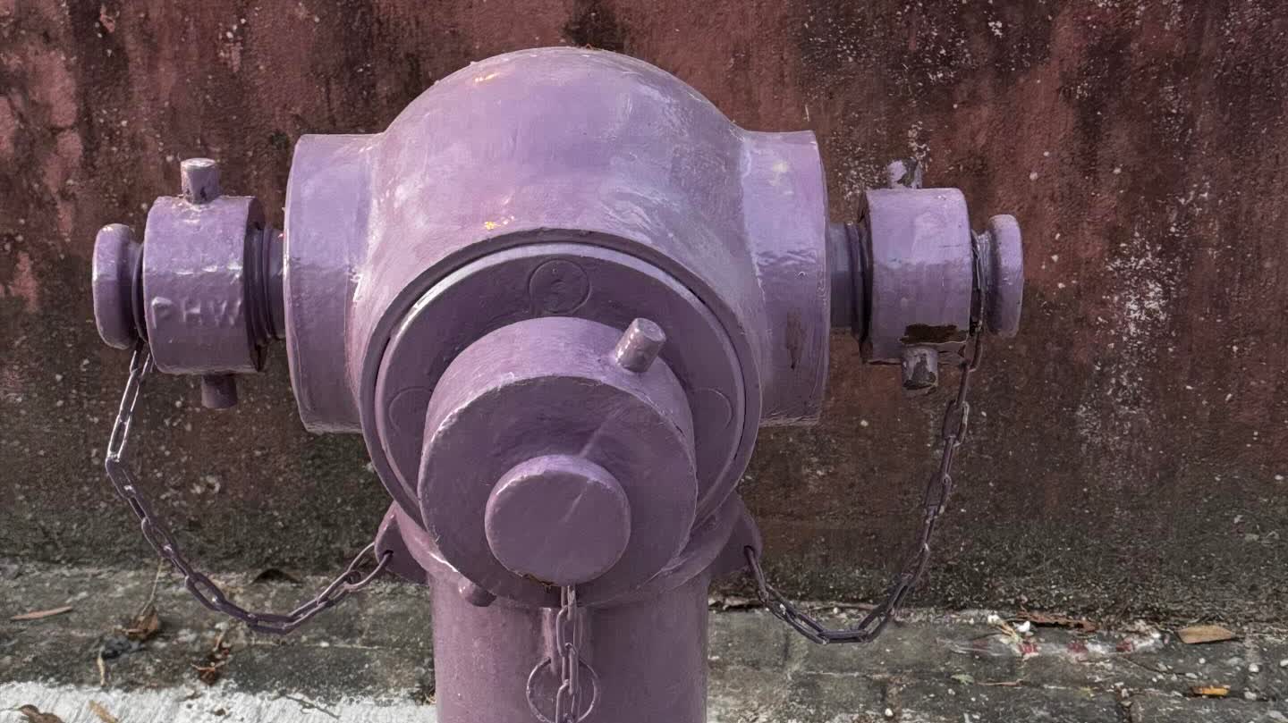 'Dreamy purple' fire hydrant, netizens joke: Tastes like taro ice cream