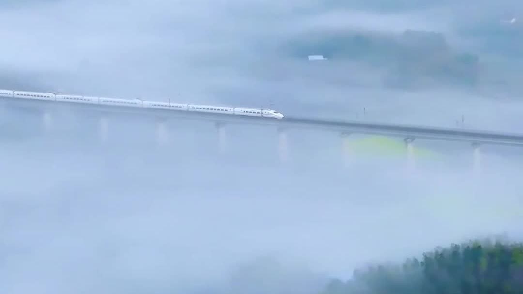 Watch This | Bullet train glides past spring fields amid morning mist in E China