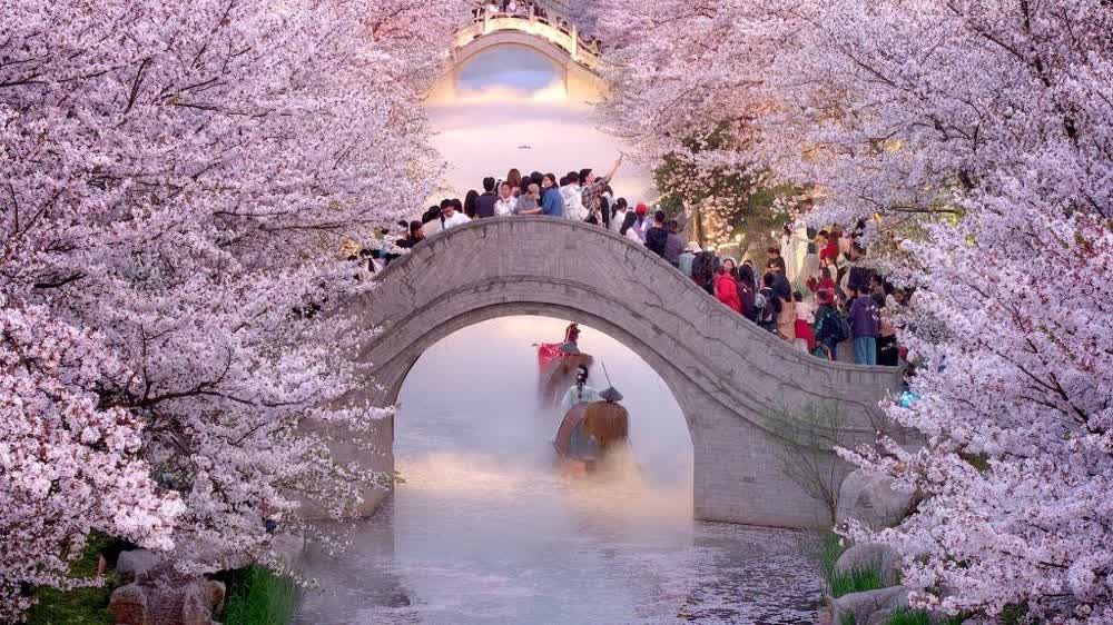 Photos | Tourism boosts spring economy during Qingming Festival holiday: Xinhua