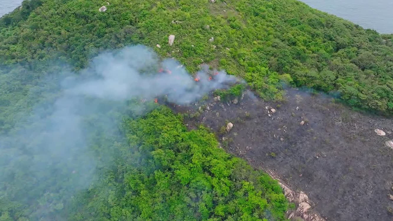 Watch This | Drone footage captures Lamma Island hill fire