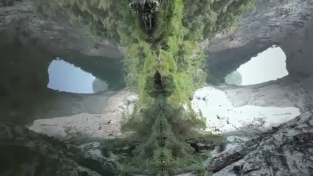 Watch This | Nature cosplays as Monkey King