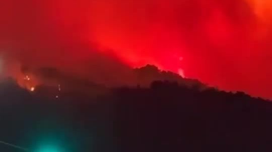 Watch This | Wildfire in Iwate Prefecture, Japan turns night sky red: 7 buildings destroyed, 2,000 evacuated