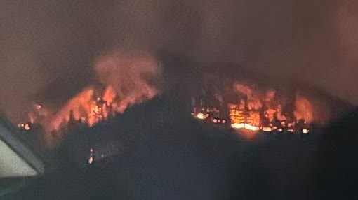 Watch This | Wildfire in Japan's Iwate burns 431 hectares: Flames spreading toward town center