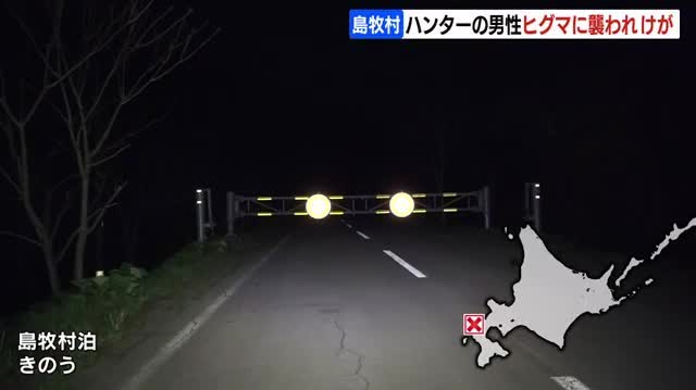 Watch This | Beware of bears! Hokkaido hunter injured in bear counterattack: Fukushima man attacked while foraging