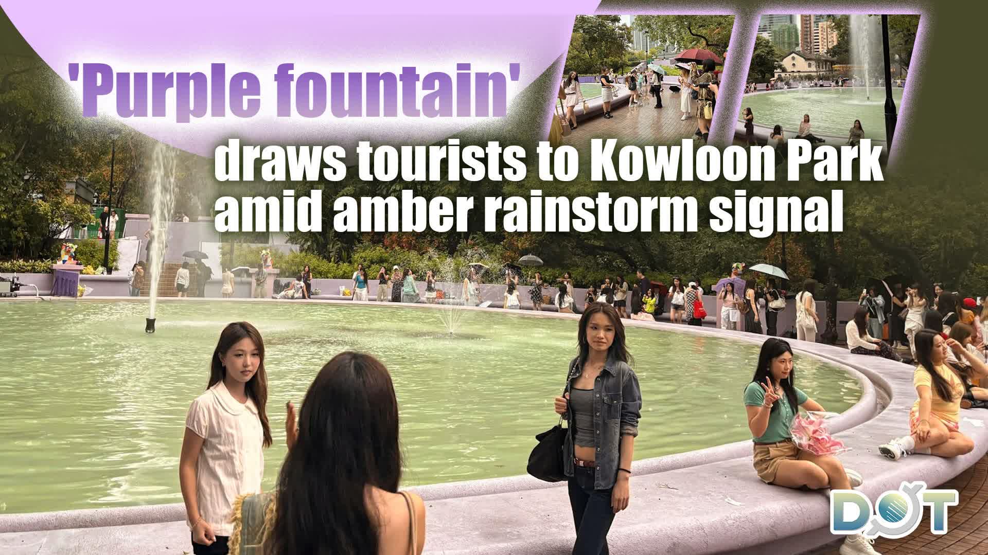 'Purple fountain' draws tourists to Kowloon Park amid amber rainstorm signal