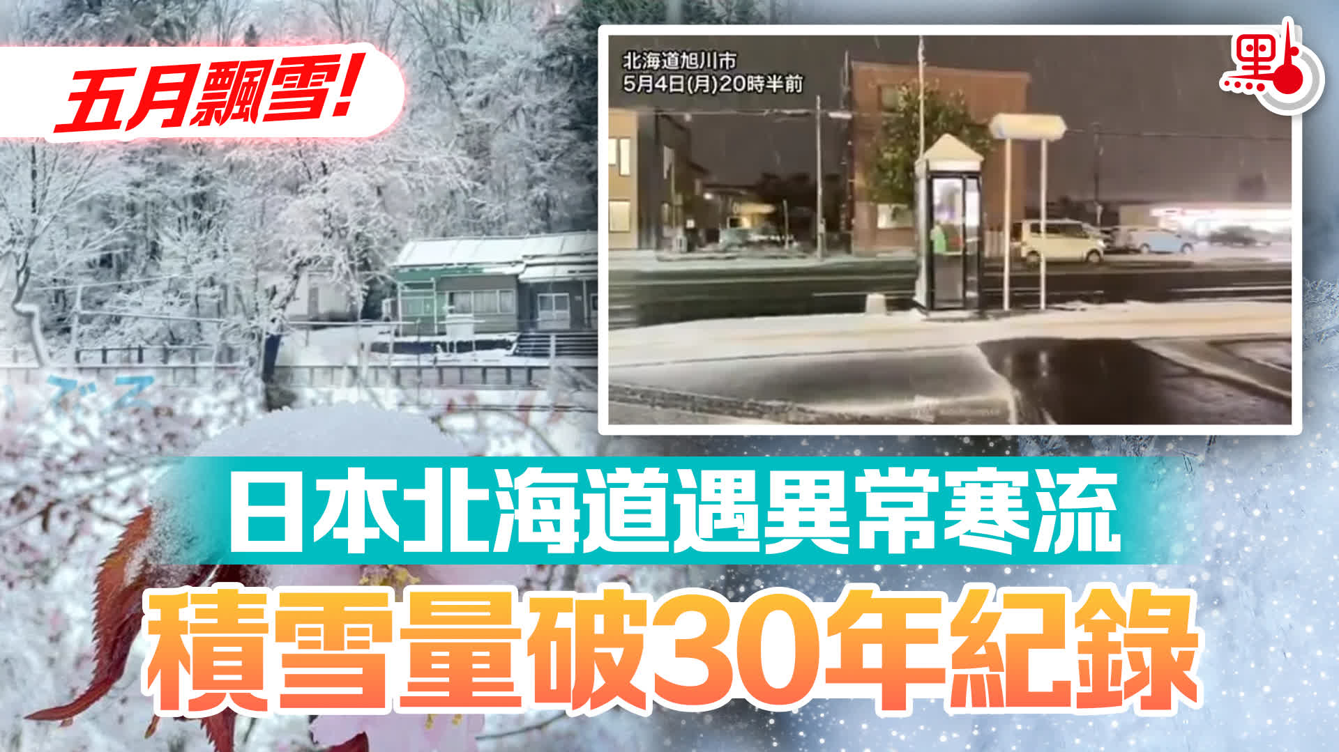 五月飄雪！日本北海道遇異常寒流　積雪量破30年紀錄 - 國際