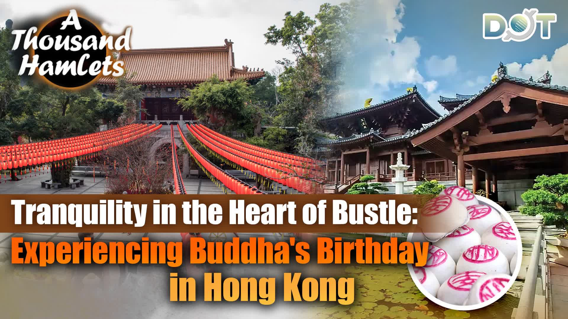 A Thousand Hamlets | Tranquility in the heart of bustle: Experiencing Buddha's Birthday in Hong Kong