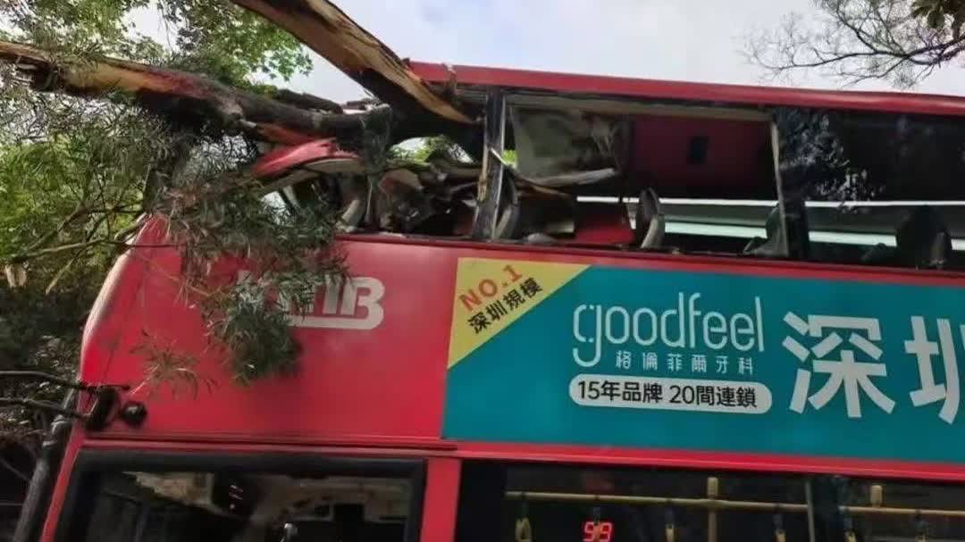 Watch This | KMB bus collides with overhanging tree branch in Sai Kung