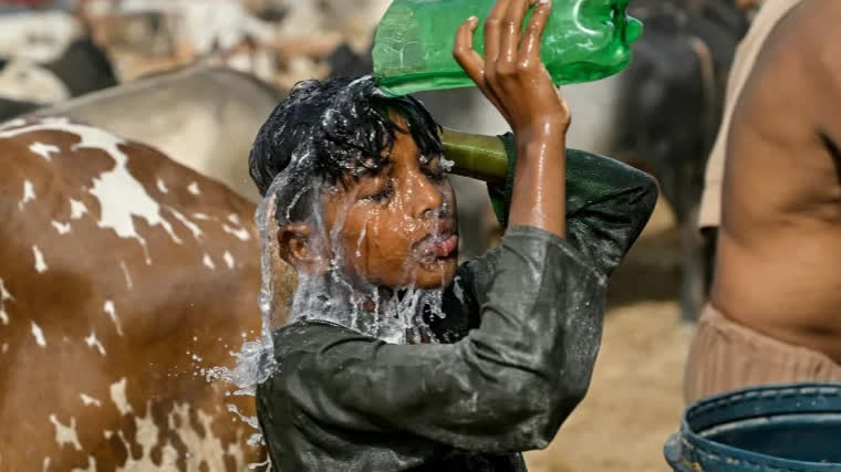 Next five years to see hottest year on record: WMO