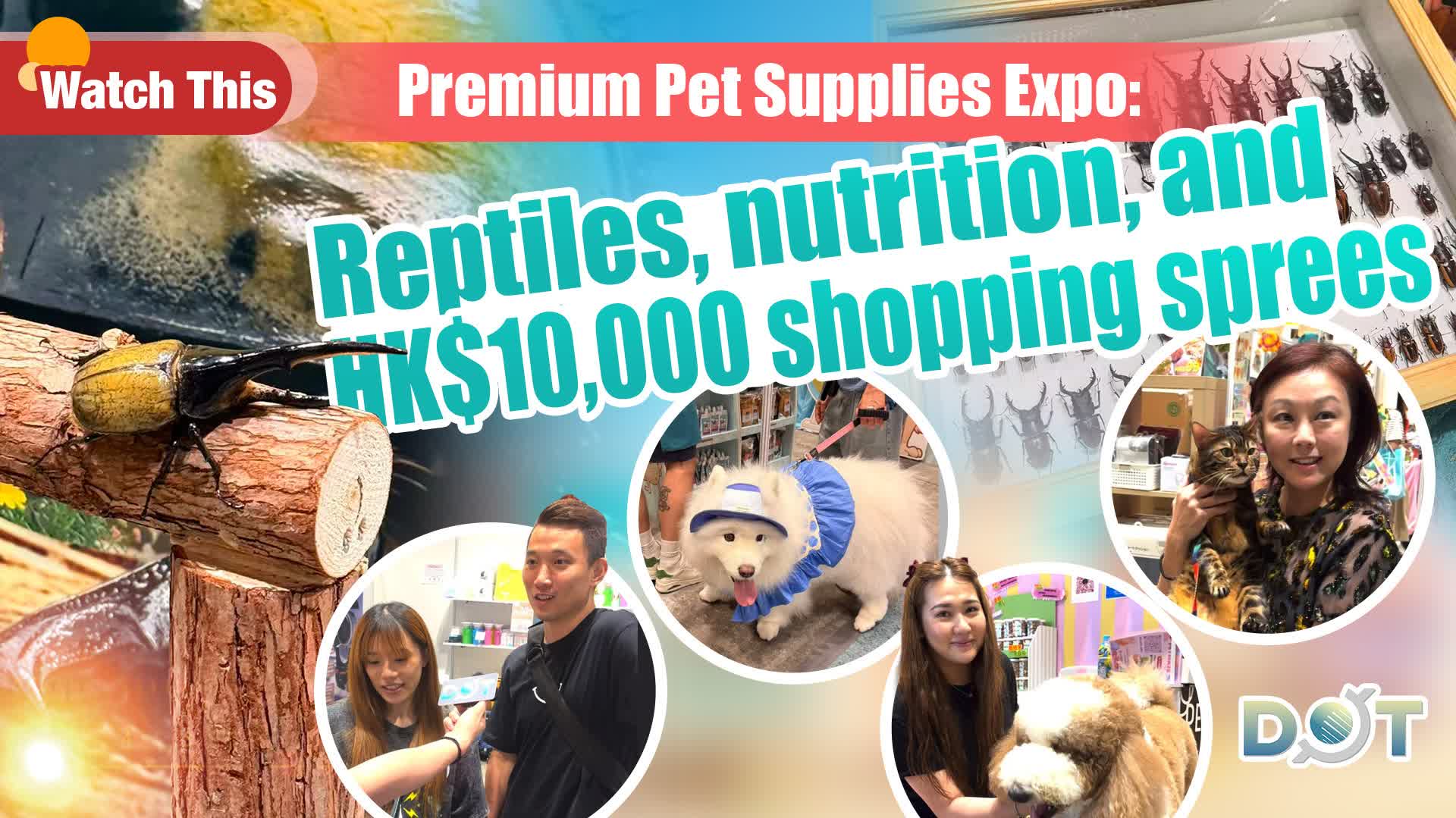 Watch This | Premium Pet Supplies Expo: Reptiles, nutrition, and HK$10,000 shopping sprees