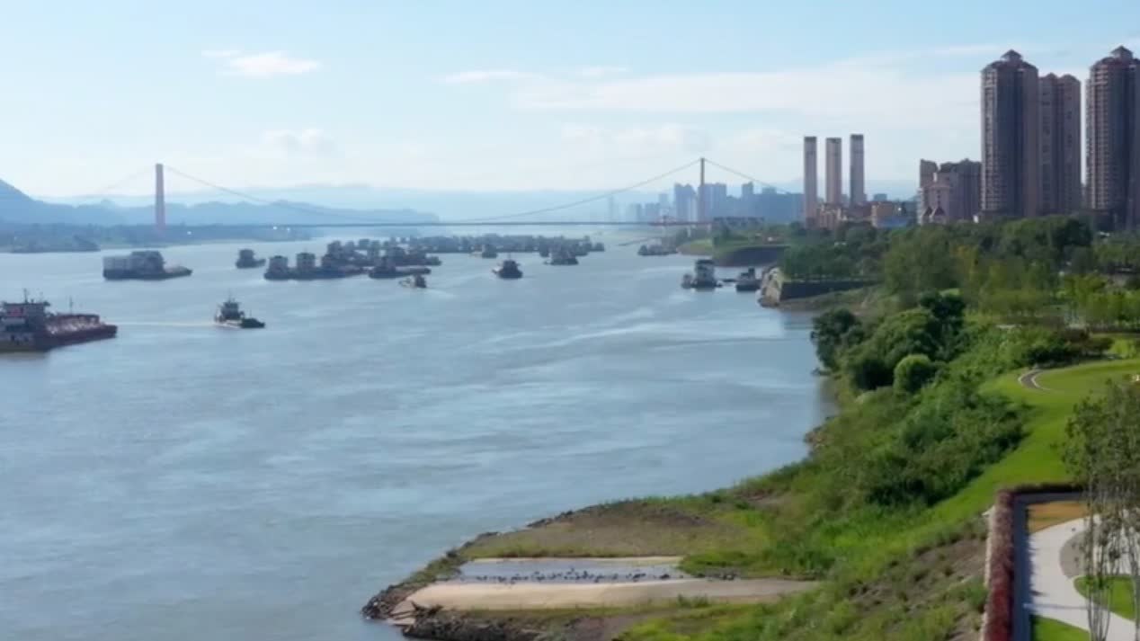 Watch This | Green comeback of the Yangtze River, China's longest waterway
