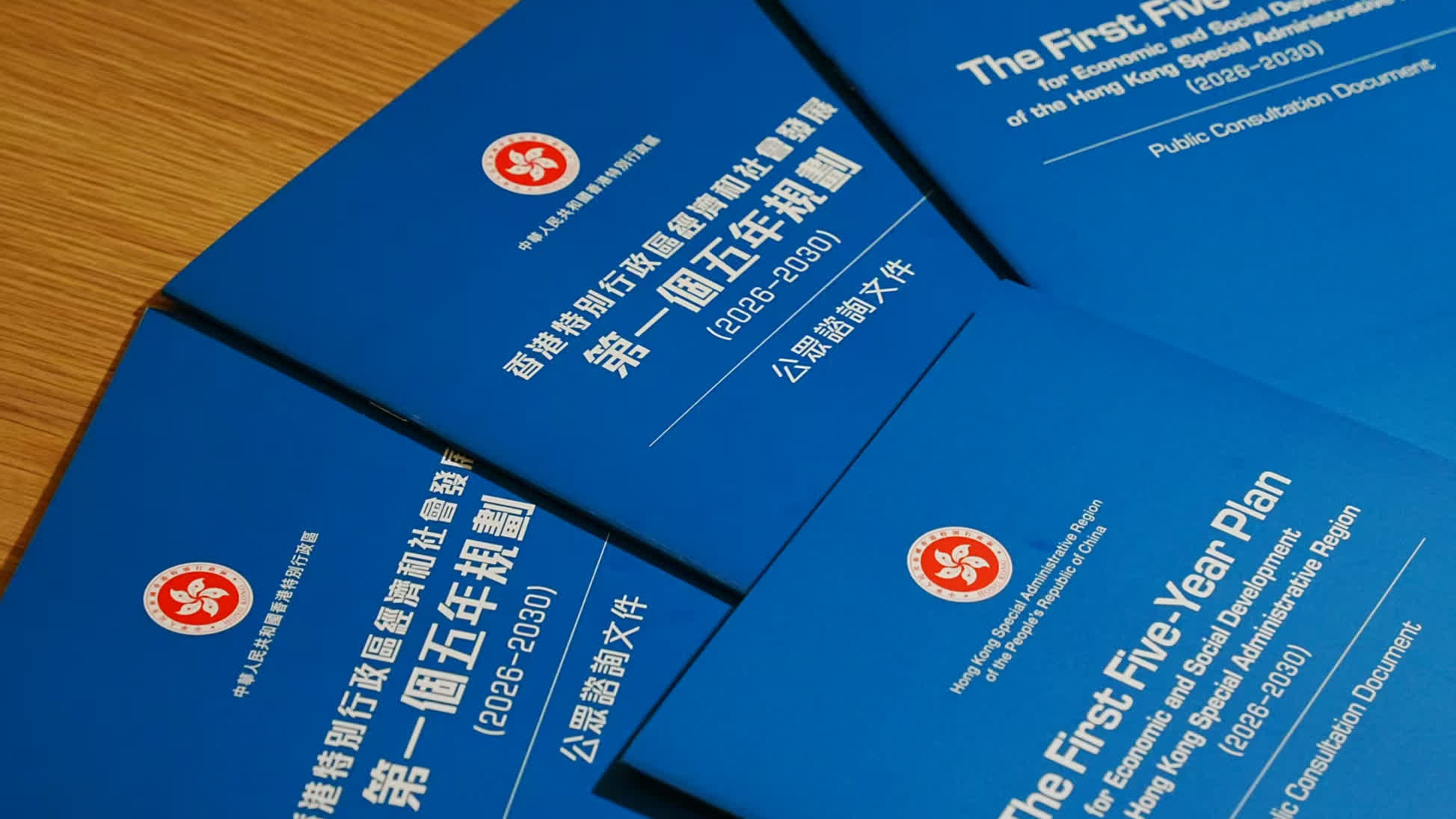 Govt launches public consultation on first Five-Year Plan for economic and social development