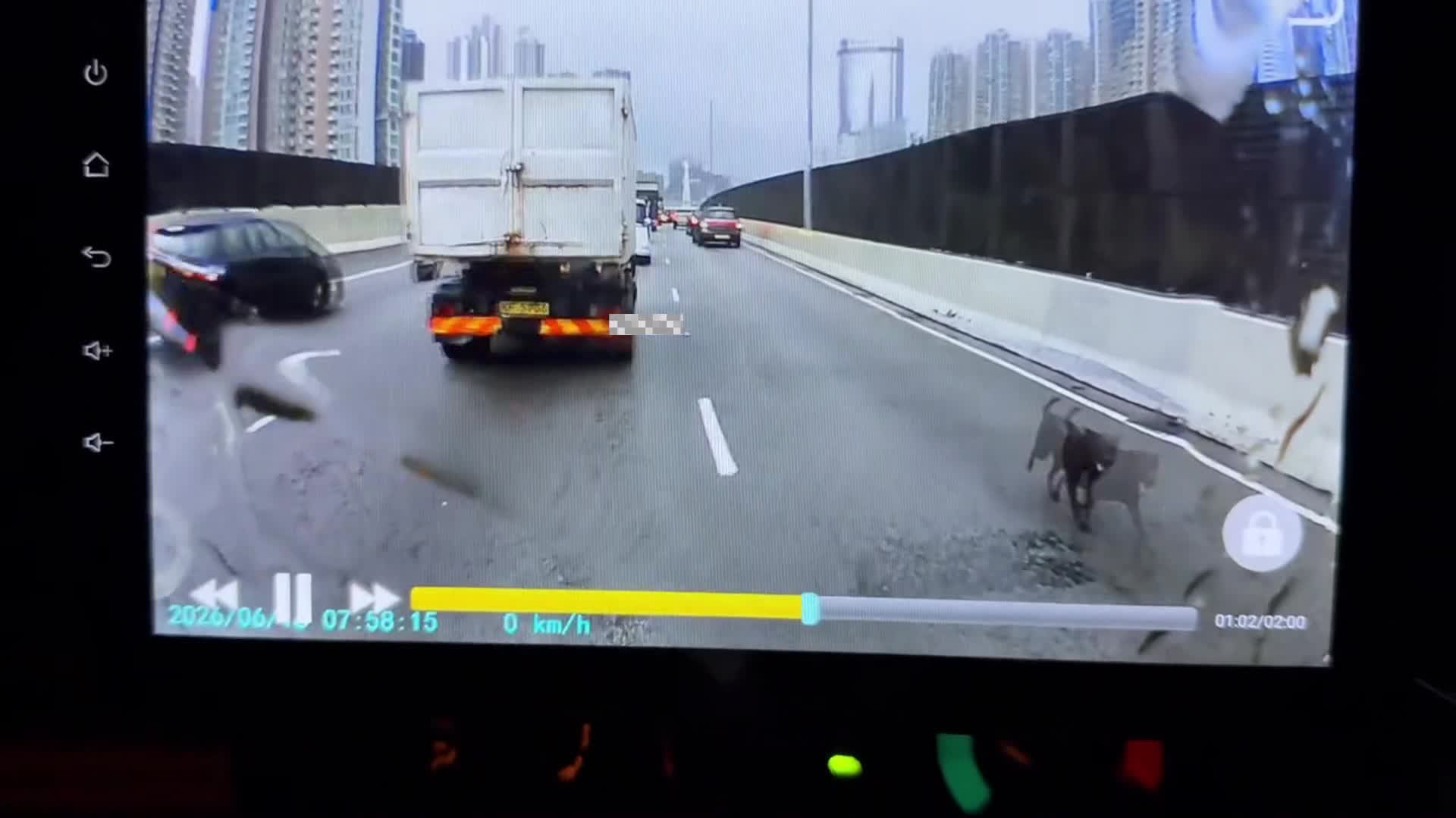 5 cars crash on West Kowloon Corridor after driver avoids stray dog