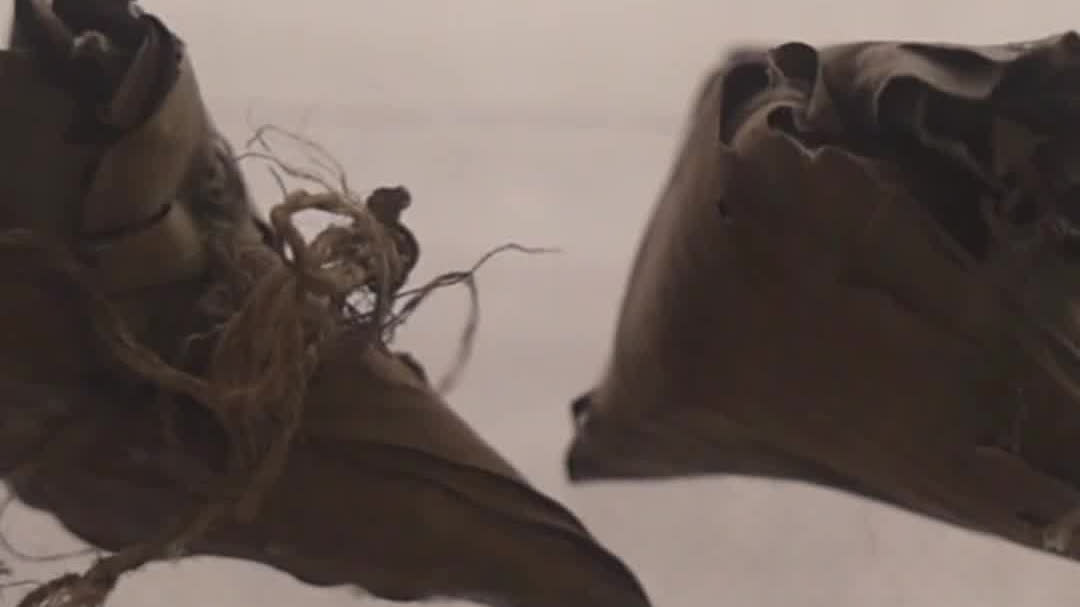 Watch This | 750-year-old zongzi preserved at Chinese museum