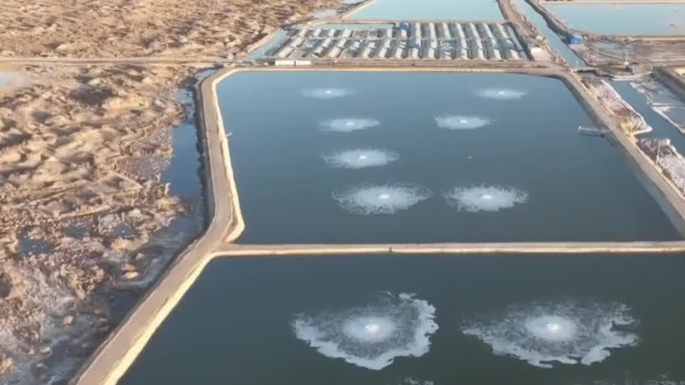 Watch This | New tech turns desert saltwater into seafood oasis in China's Xinjiang