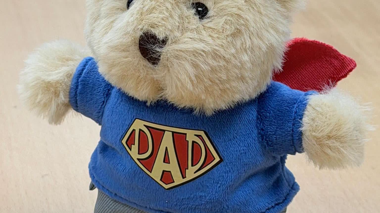 Tang Ping-keung shares Superman dad bear photo to wish all fathers happy Father's Day