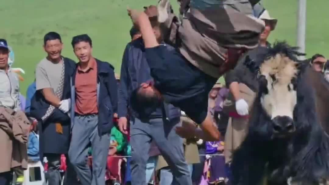 Watch This | Strength and courage in a yak challenge