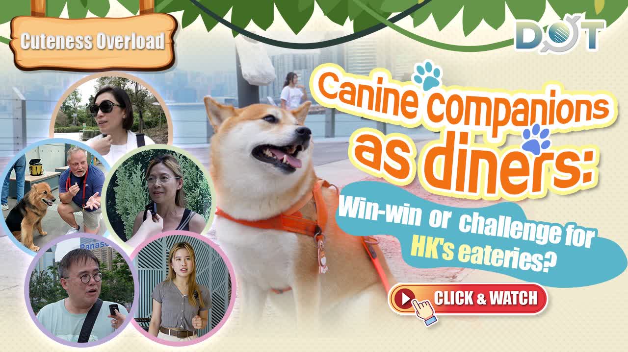 Cuteness Overload | Canine companions as diners: Win-win or challenge for HK's eateries?
