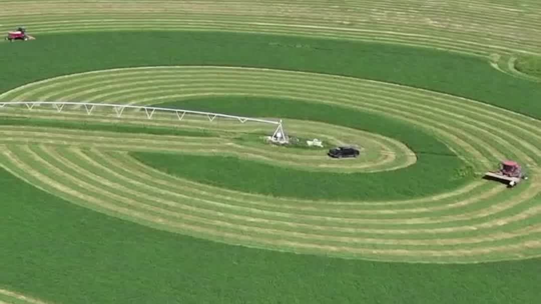 Watch This | What are these giant green circles?