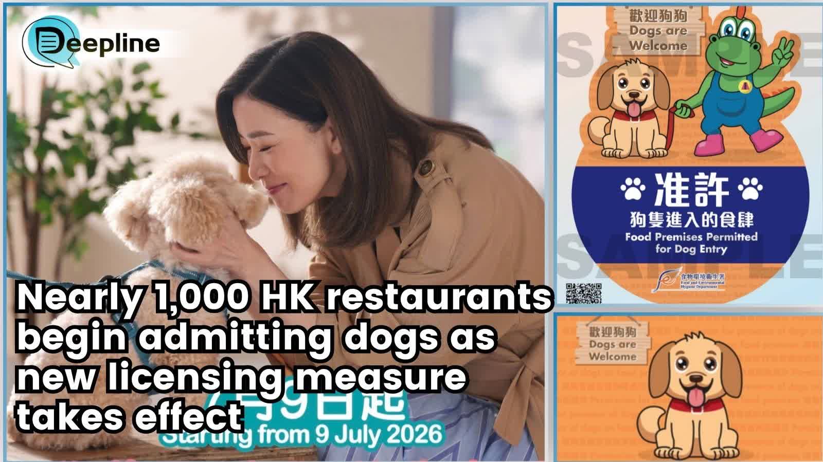 Deepline | Nearly 1,000 HK restaurants begin admitting dogs as new licensing measure takes effect