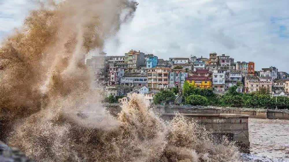 Watch This | Typhoon Bavi makes landfall in east China's Zhejiang