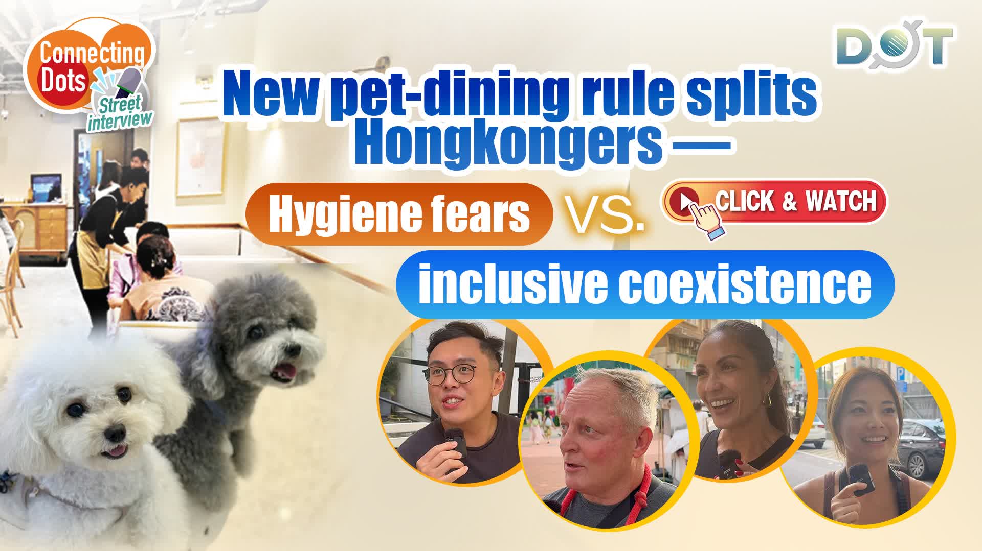 Connecting Dots | New pet-dining rule splits Hongkongers — Hygiene fears vs inclusive coexistence