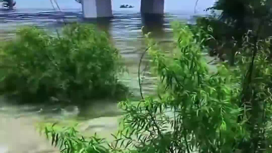 Watch This | Drone saves stranded cat from raging river in NE China