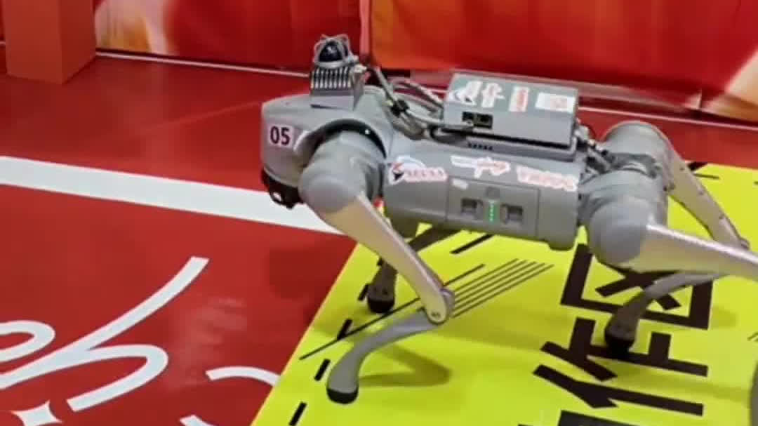 Robot dogs obstacle challenge held at World AI Conference in Shanghai, China