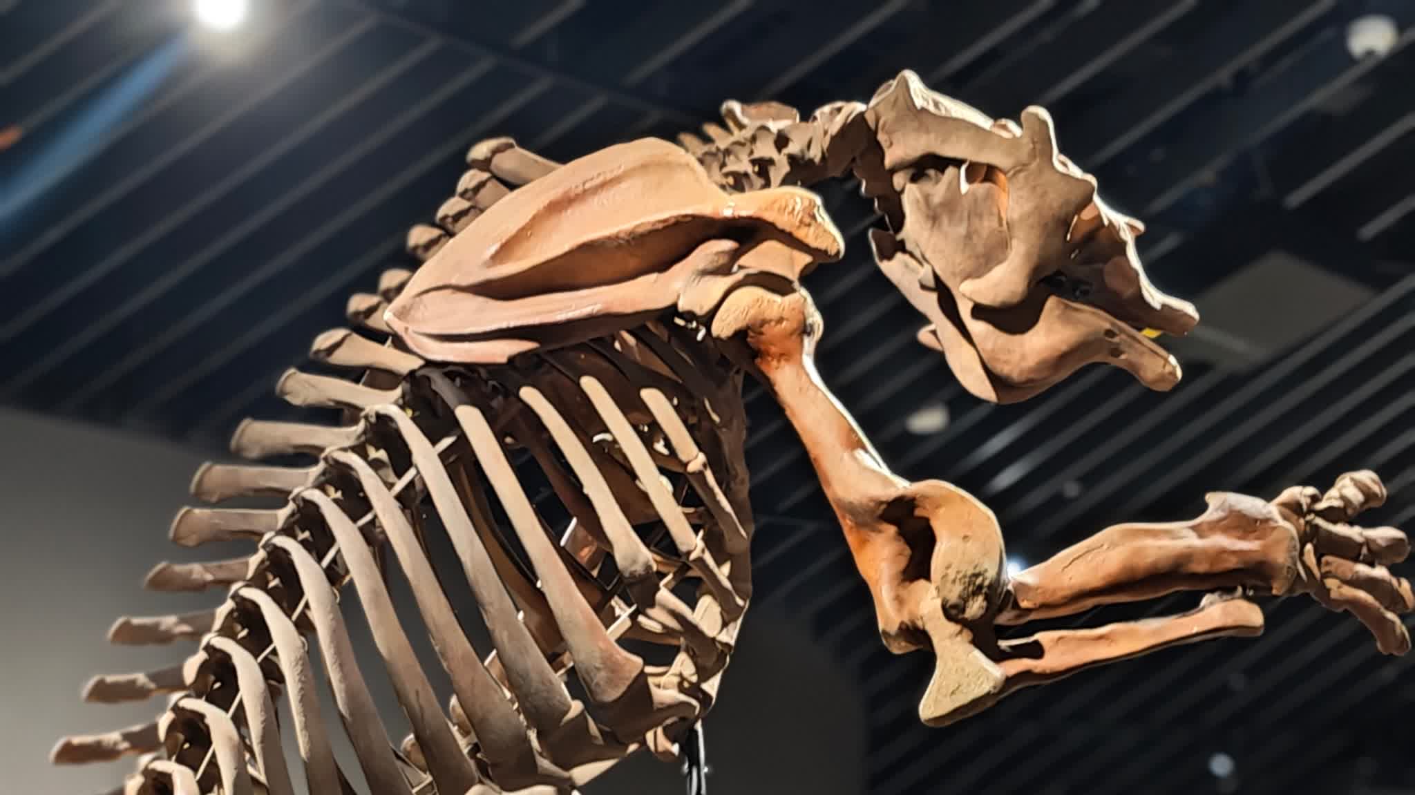 Watch This |  Shenzhen Natural History Museum to open July 28 as landmark Southern China science hub