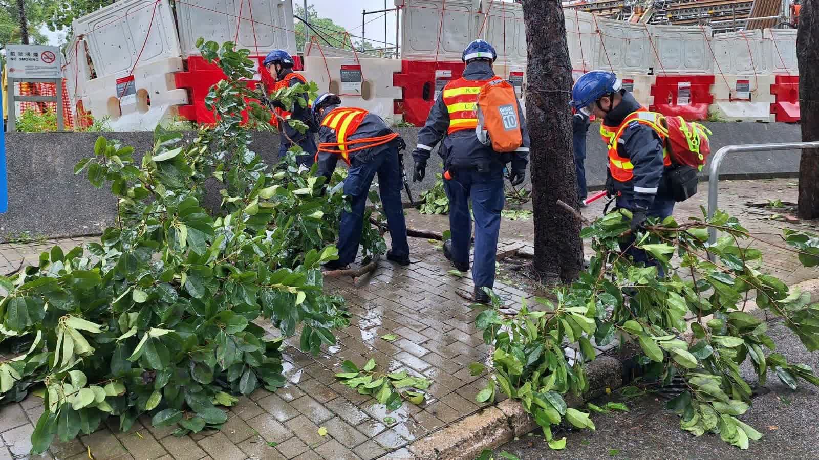 Typhoon Noul | Civil Aid Service handles multiple tree collapses, advises public not to watch waves