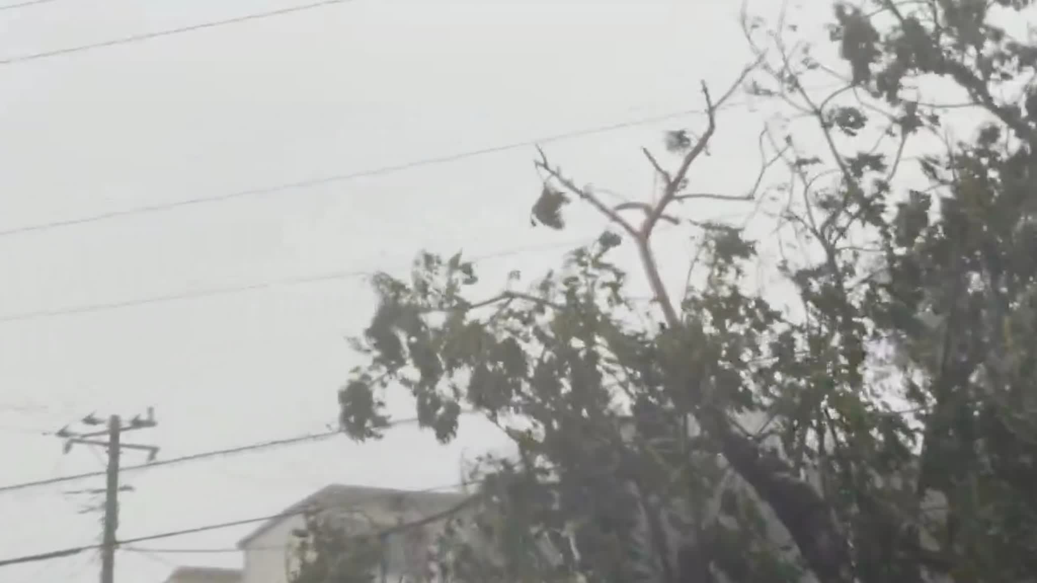 Watch This | Typhoon Dolphin strengthens into severe storm, heads for Okinawa with destructive waves and gale-force winds