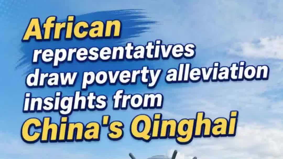 Watch This | African representatives draw poverty alleviation insights from China's Qinghai