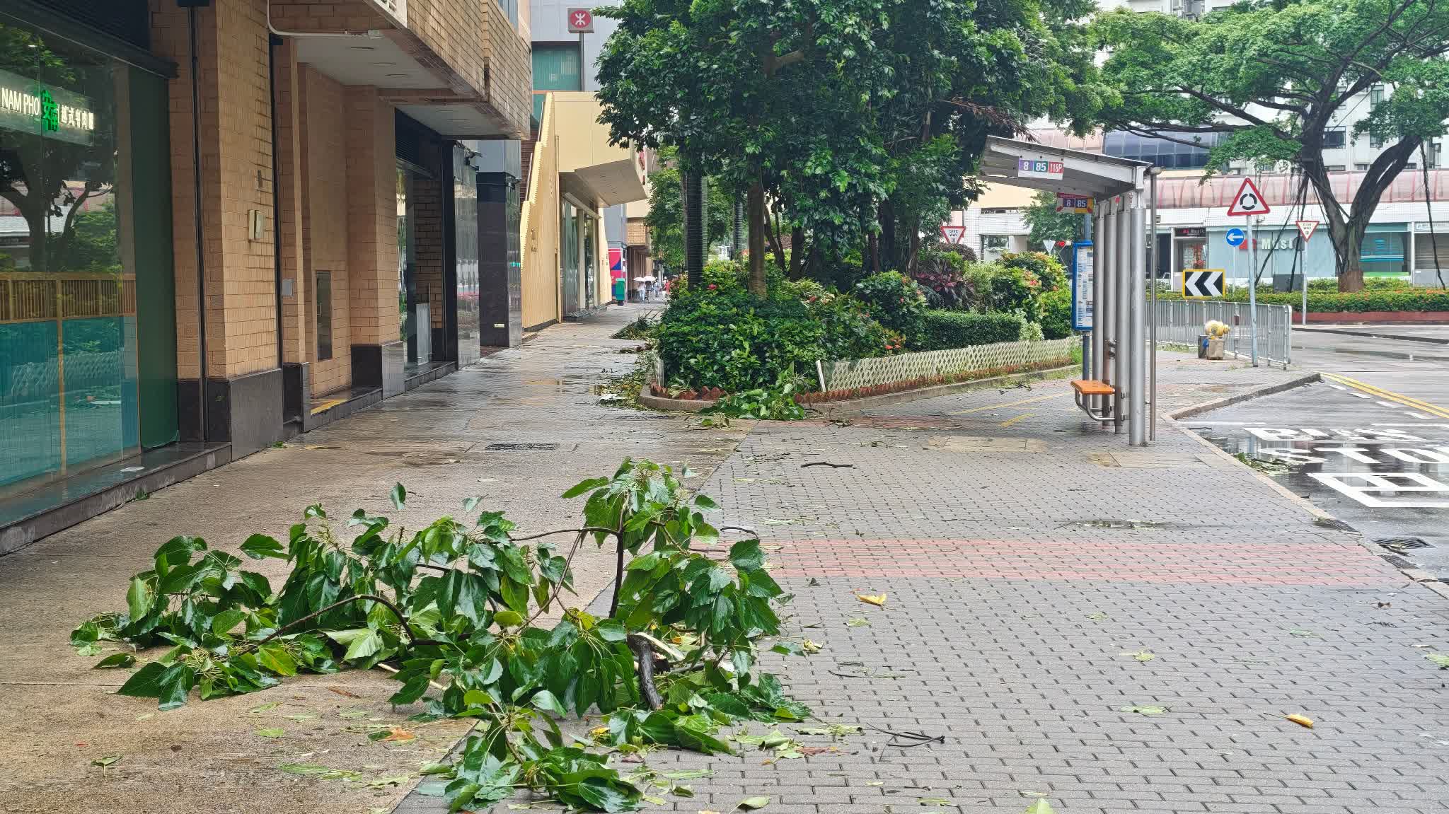 Broad low-pressure nears Guangdong coast: Typhoon may occur