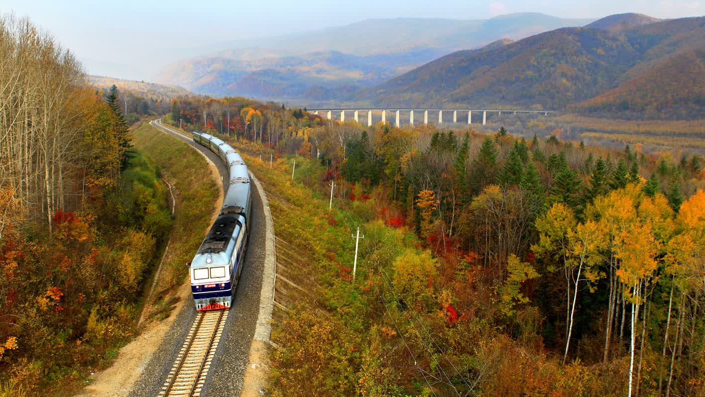 China's landmark Ecological and Environmental Code takes effect to drive green modernization