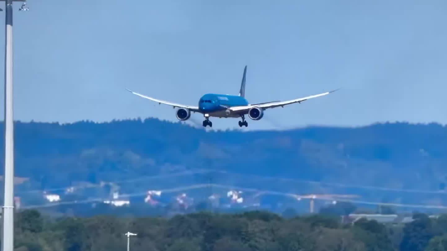 Watch This | Vietnam Airlines flight suspected in takeoff incident, suffers tyre blowout